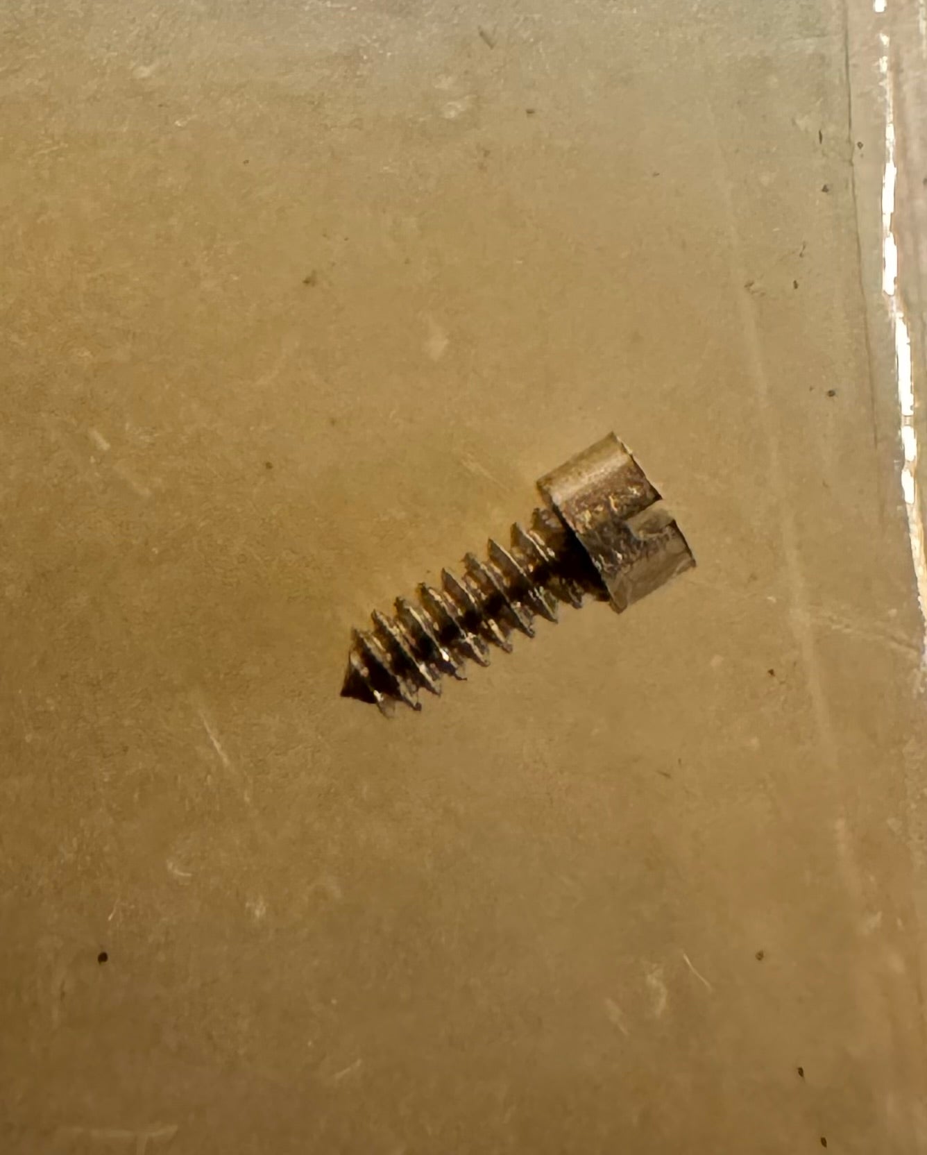 Seiko Chronos – Dial retaining screw No. 012211 (NOS, 1 piece)