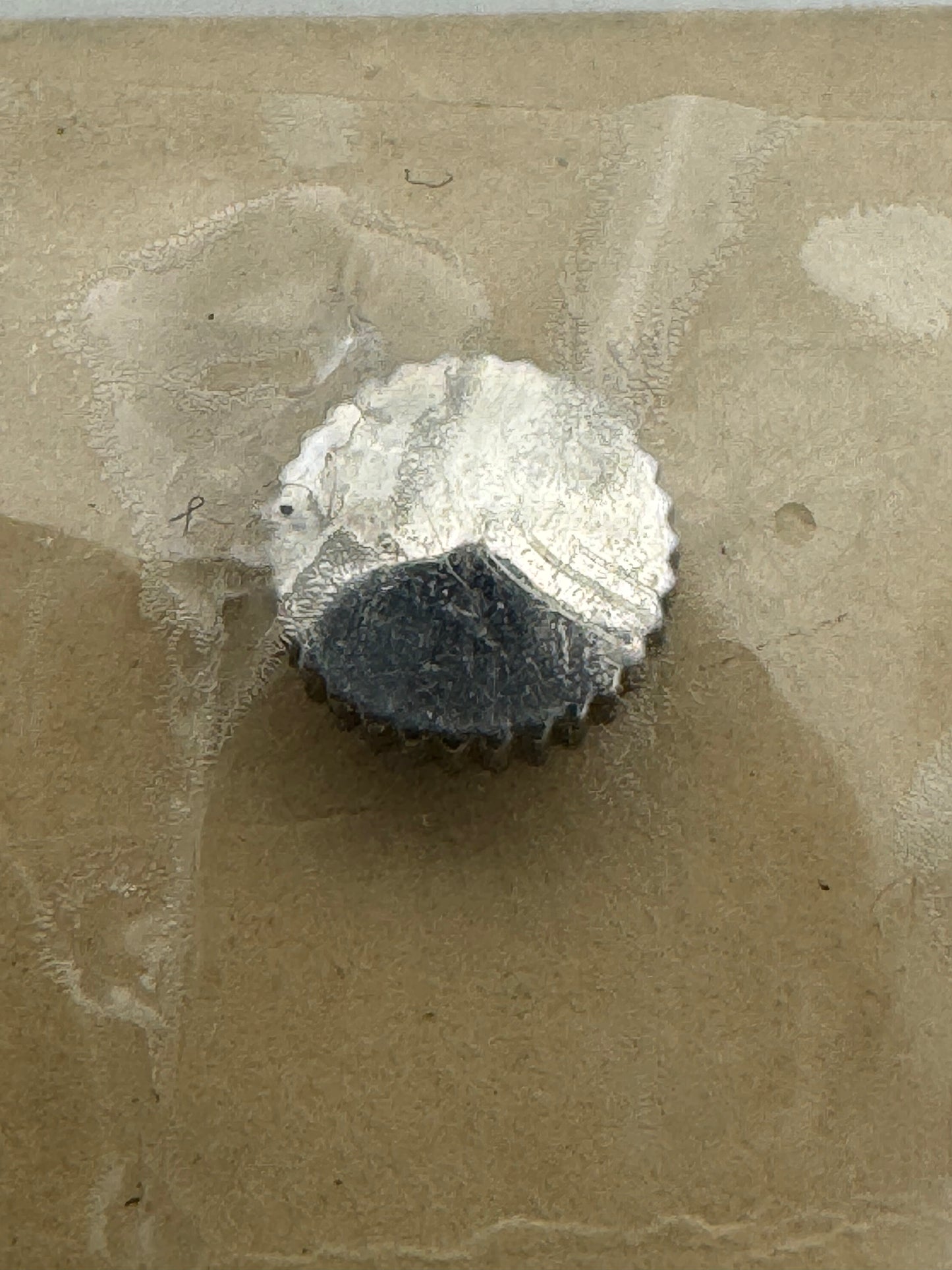 Citizen NOS Couronne 506-041 (550), acier – 1 pièce