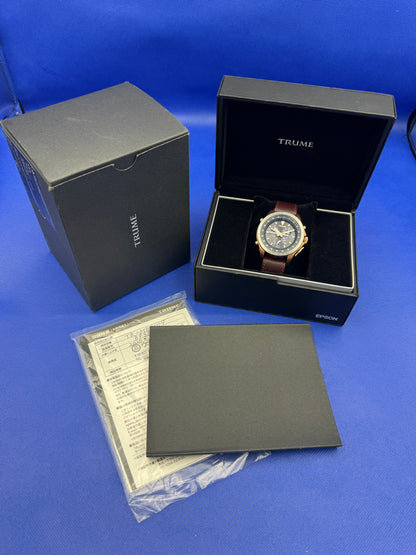 TRUME by Epson – TL1 (Ref. MB52-4AC0) Satellite Link Light Charge (Solar) – Bronze Limited Model aus 2020