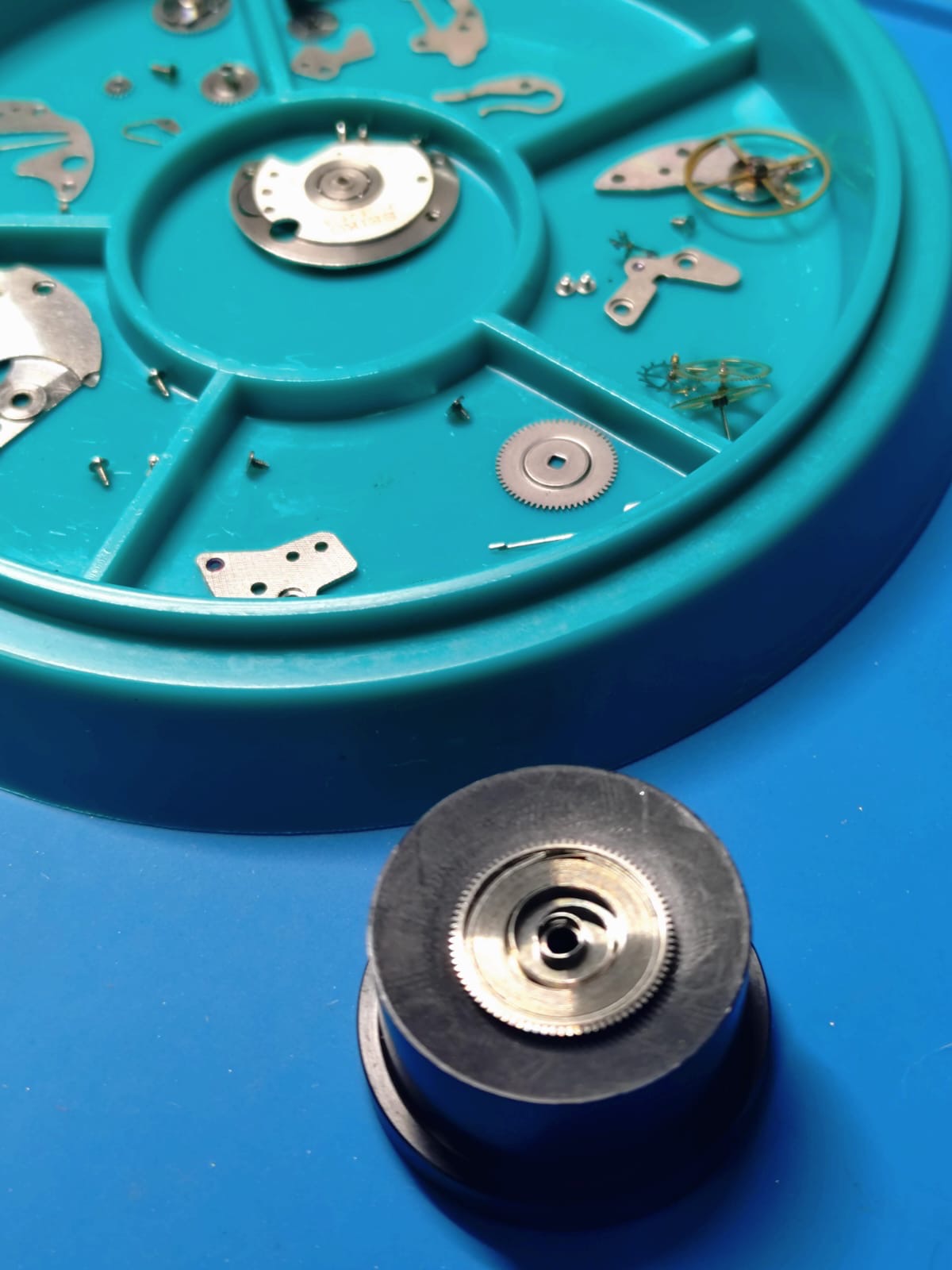 Seiko 5 – Réf. 6119-8031 – Calibre 6119, 21 rubis, Suwa Seikosha – lunette cannelée – juillet 1968 – fraîchement révisée