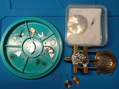 Seiko Liner « Diashock 23 Jewels » – Réf. J15007E – Calibre 3140, remontage manuel – Plaqué or – Début des années 1960 – Récemment révisée