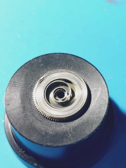 Rarity: TAKUMiSM Shinshu TEC0100W – No. 145 of 150 – built by Japanese master watchmakers – practically unobtainable in Europe