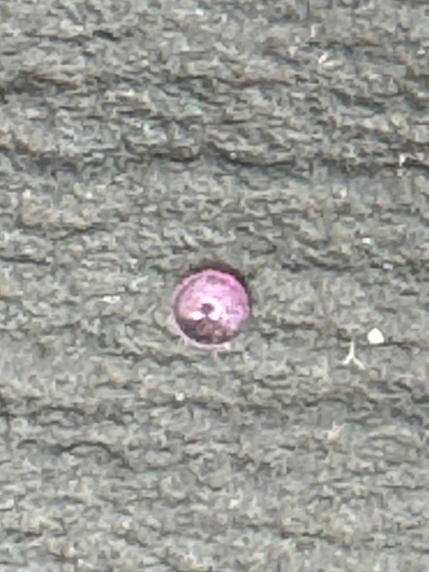 Seiko DiaFix Cap Jewel / Bearing Jewel (受石 / Cap Jewel) – Ladies' Caliber 4L (comp. 5S / 5B / 5VE / 6SI.S / 6FA) (1 piece) – NOS