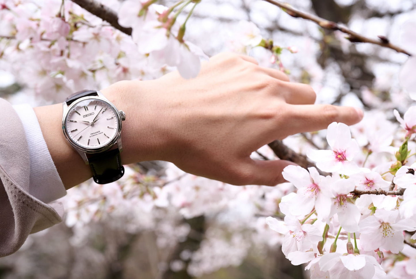 Seiko Presage HCC003J1 – Classic Series „Sakura iro“ – 38 mm