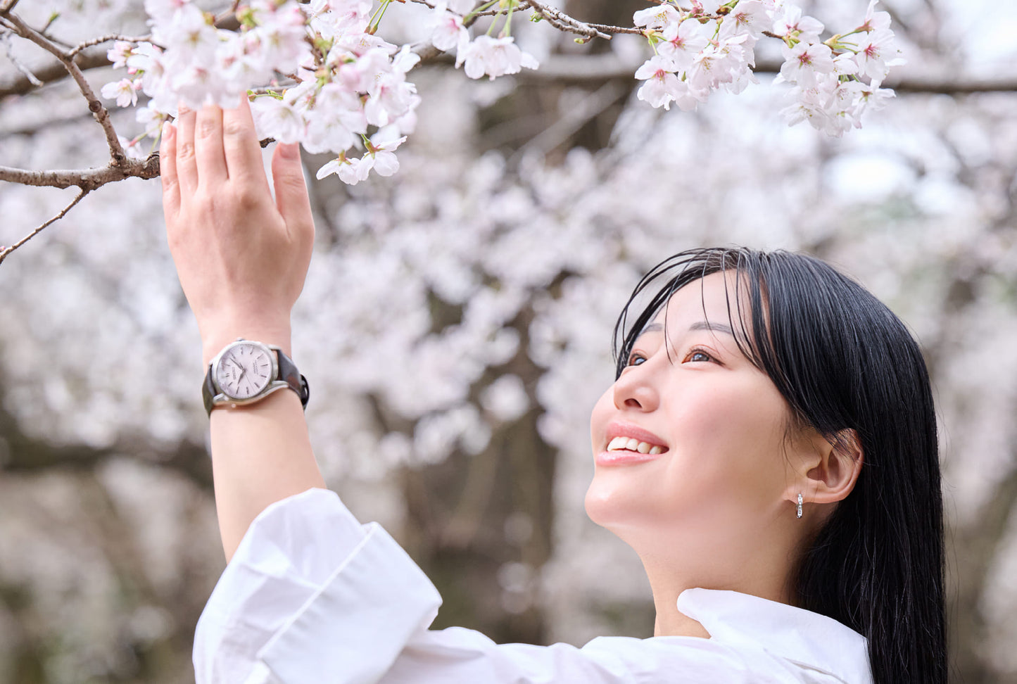 Seiko Presage HCC003J1 – Classic Series „Sakura iro“ – 38 mm